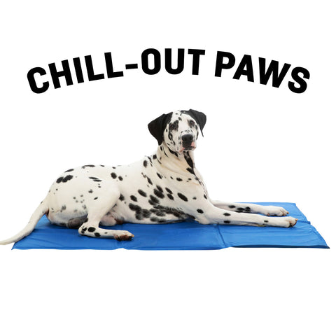 Chill-Out Paws